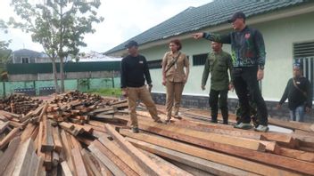 科迪姆·塔拉坎（Kodim Tarakan）获得39立方非法木材
