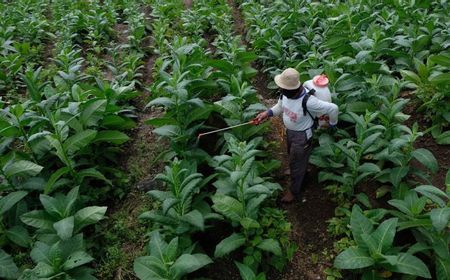 Ketum Aparsi Minta Larangan Jual Rokok Radius 200 M Dihapus dari RPP Kesehatan