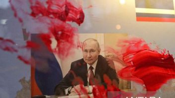 Buntut Serang Ukraina, Putin Dicopot dari Presiden Kehormatan Judo Internasional