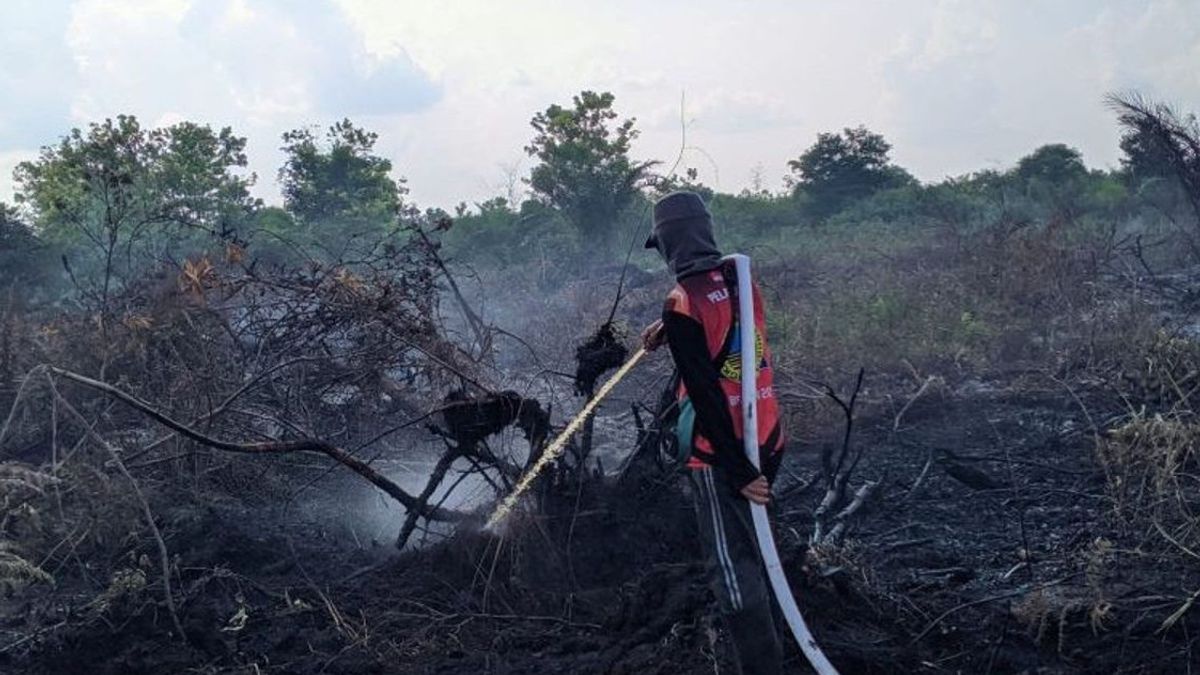 防止森林和陆地火灾,BNPB提醒居民不要通过焚烧来开放土地
