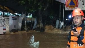 Kali Ciliwung Meluap, 30 RT di Jaksel-Jaktim Banjir Hingga 2 Meter