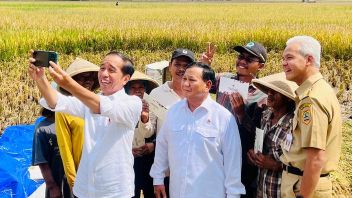 على خلفية الأرز المصفر ، ضحك غانجار وبرابوو بشكل فضفاض عندما دعاهما جوكوي لالتقاط الصور