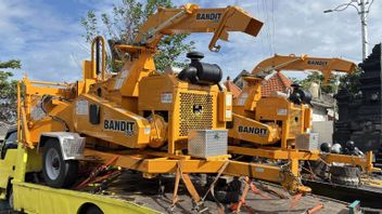 KLH aide à la destruction des déchets de bois envoyés à la plage de Badung, Bali