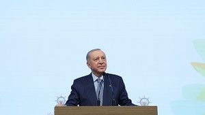 Turki Blokir Konten Grok karena Dugaan Penghinaan terhadap Erdogan dan Nilai Agama