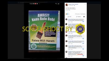 Poster 'Watch Out !! Boar Bristle Brush, MUI Fatwa: Haram ', These Are The Facts