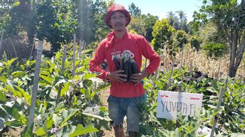 The Spirit Of Resilient Chili Farmers Who Inspire