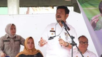 Minister Of Agriculture Support For West Sulawesi Kembangkan 2.000 Hectare Lahan Padi