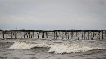 Pagar Laut Cermin Lemahnya Pengawasan Pemerintah Pusat dan Daerah