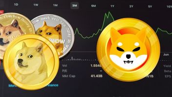 Dogecoin And Shiba Inu Soar, The Meme Coins Are Shining Again