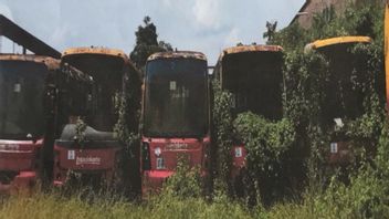 Ada Puluhan Bus Transjakarta Tua yang Kini Hanya Tersisa Potongan Kursi Hingga Velg, Kok Bisa?