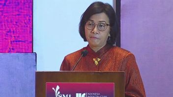 Sri Mulyani: It Takes IDR 3,500 Trillion To Provide Electricity From Green Energy