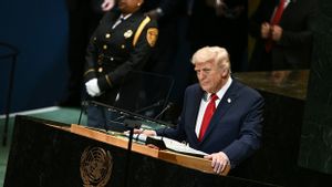 Gaza Tanpa Hamas, Pemerintahan Transisi hingga Dewan Perdamaian di Proposal Presiden Trump