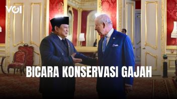 Di Tengah Rintik Hujan, Presiden Prabowo Bertemu Raja Charles, Perkuat Diplomasi Lingkungan