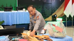 Polda Riau Tetapkan 15 Tersangka Jaringan Perburuan Gajah Sumatera Lintas Provinsi