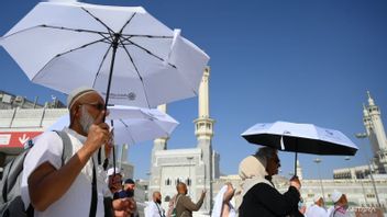 Pengusaha Travel Haji dan Umrah Nilai Pengawasan DPR Sebelum Puncak Haji Beri Kenyamanan Bagi Jemaah