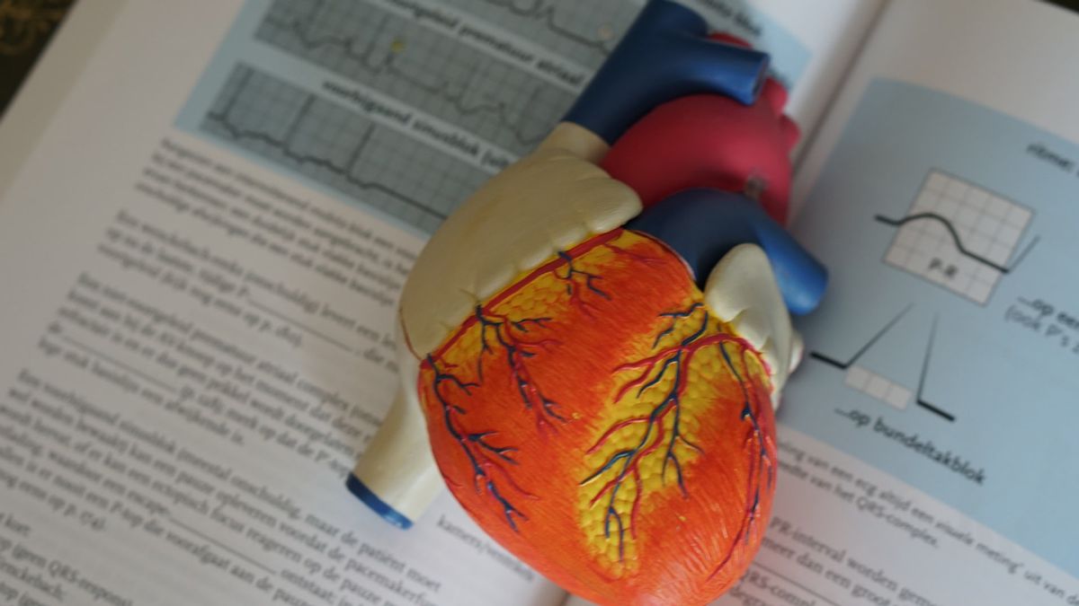 Berkaca dari Anak Sulung Nurul Arifin yang Meninggal karena Serangan Jantung, Lakukan Kebiasaan Sehat untuk Jaga Sistem Kardiovaskular