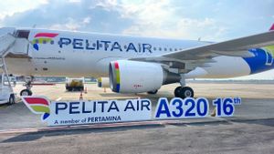 Pelita Air Datangkan Airbus A320 ke-16, Perkuat Layanan Penerbangan Nataru