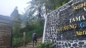 77 Pendaki Nekat Naik Gunung Gede Pangrango saat Ditutup Disanksi Minta Maaf Lewat Medsos Pribadi