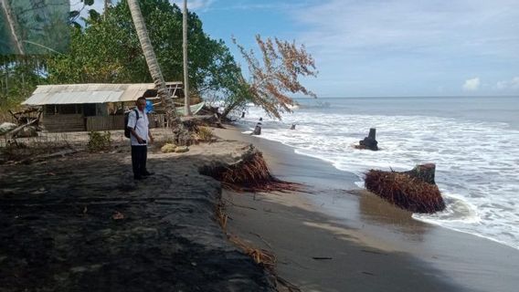 700 Rumah Sepanjang Pantai Tiku Agam Sumbar Terancam Abrasi