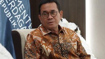 印度尼西亚向世贸组织就棕榈油问题向欧盟提出暂停特许权请求