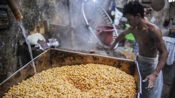 Kudus进口大豆价格飙升，贸易商被迫调整豆豉和豆腐的大小