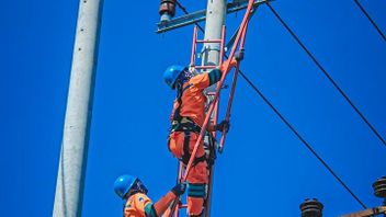 没有上涨！这是13个客户类别电费的详细情况