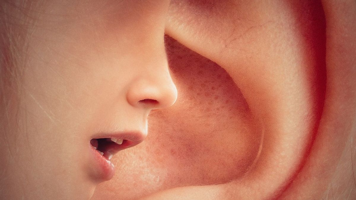 左耳がジェイム・プリンボンによるとどういう意味ですか、どんな兆候ですか?