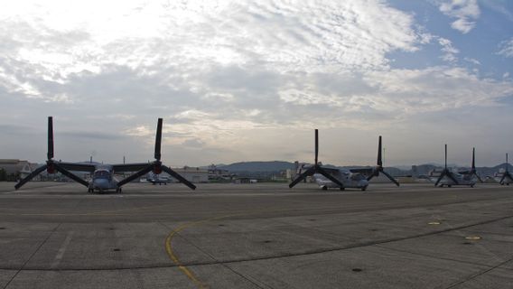 美国军方在日本海岸发生事故后,扣押了一支绵羊队