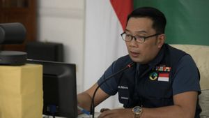 Ridwan Kamil Minta Kepala Daerah di Jabar Turun Langsung Atasi Stunting