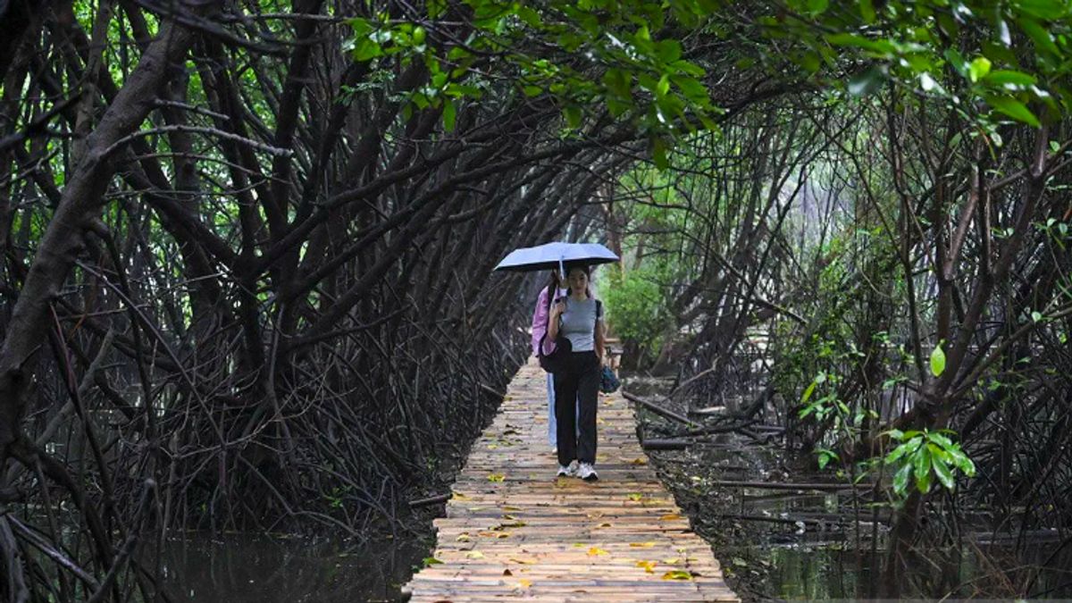 Nature Tourism And Sustainability Become The Main Choice Of Indonesian Tourists