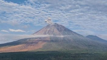 Semeru Erupsi Senin Pagi, Kolom Abu Membumbung 800 Meter
