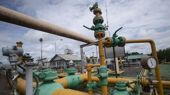 Anak Usaha Energi Mega Milik Konglomerat Bakrie Mulai Produksi Gas di  Korinci Baru Riau, Dijual ke PLN 4 Dolar AS per MMBTU