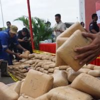 2,71 Kg Ganja Sumsel yang Gagal Diselundupkan di DIY  Sebagian Dibeli di Kapahiang