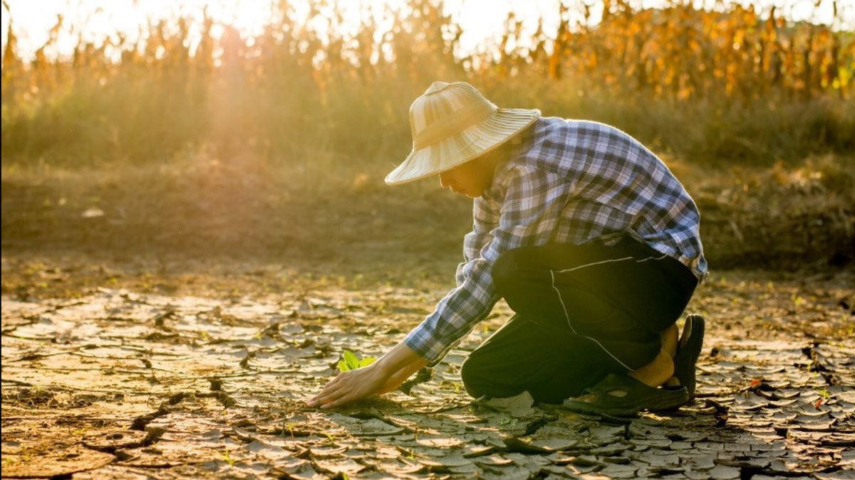 Climate Change Catastrophe: From Economics to Threat to World Peace