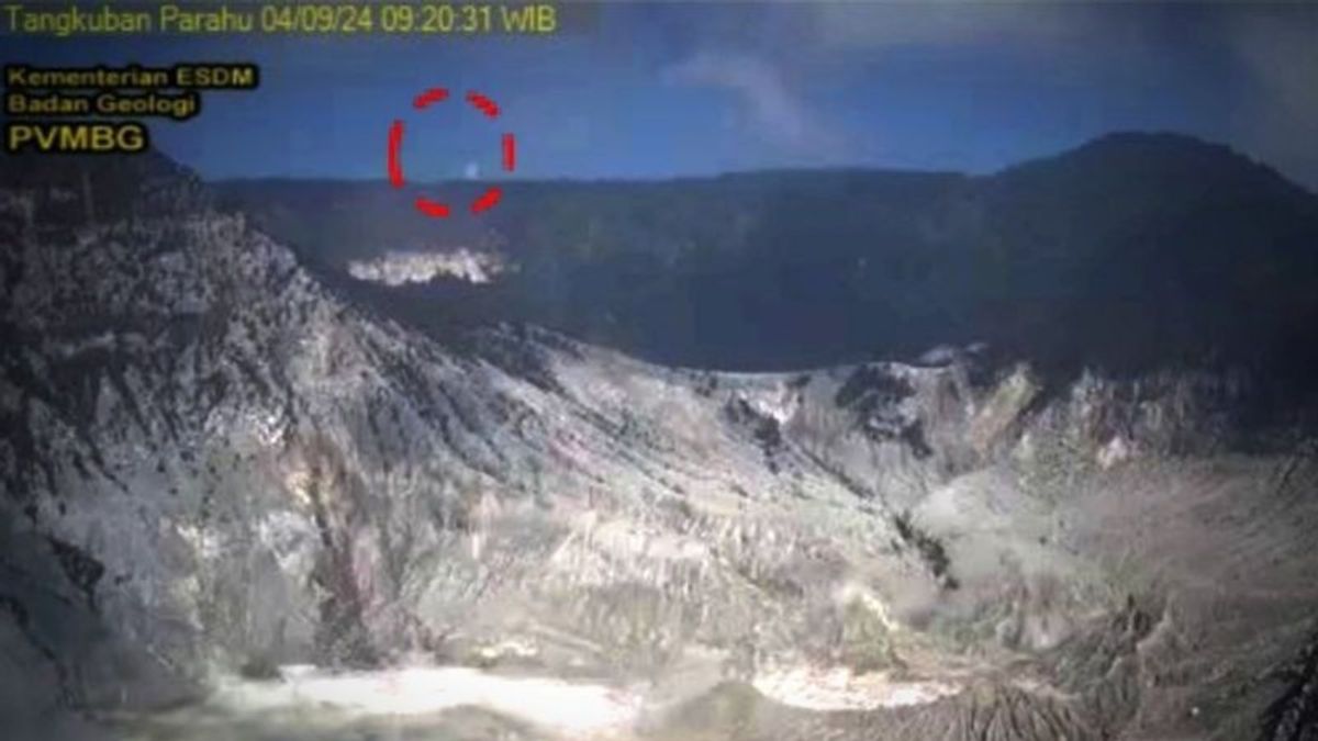 Hutan Taman Wisata Gunung Tangkuban Perahu Kebakaran