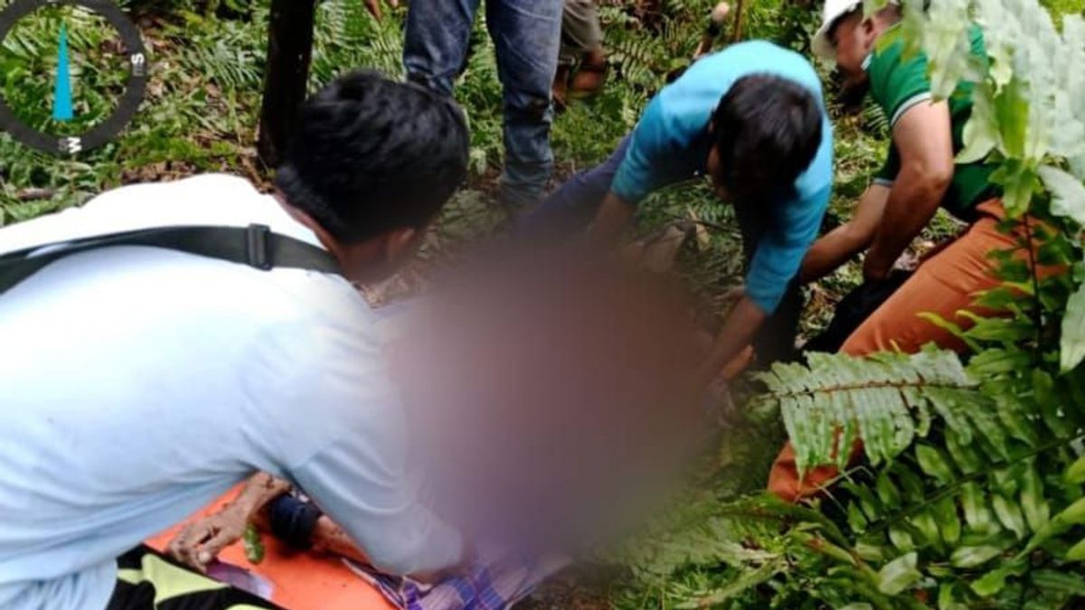 Sumatran Tiger Allegedly Prey For Tugiat Residents Of Inhil Riau, Victim's Condition Is Horrific When Found
