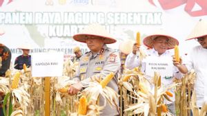 Gelar Panen Raya di Pekanbaru, Kapolda Riau: Upaya Stabilitas Harga Hingga Ketahanan Pangan