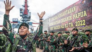 400 TNI Diterbangkan ke Papua, Pangdam II/Sriwijaya: Tetap Waspada dan Jangan Anggap Remeh