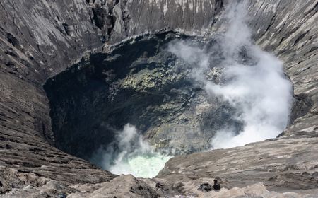 Mengenal Proses Pembentukan Batu Bara dari Tahap Awal, Berlangsung Jutaan Tahun