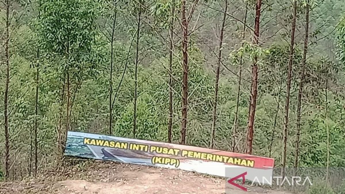 The IKN Area Will Be Planted With Plants From 34 Provinces