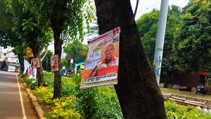 Untuk Semua Peserta Pemilu yang Sedang Kampanye, Pasang APK di Pohon Jelas Dilarang Keras Oleh KPU
