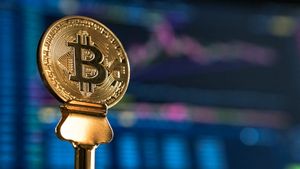 Pemegang Bitcoin Jangka Panjang Meningkat Signifikan Sejak Keruntuhan FTX