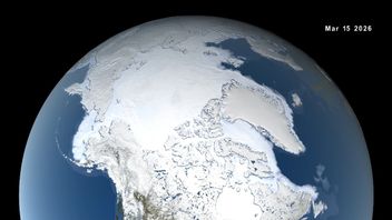Breaking a New Record, NASA Satellites Record Arctic Sea Ice Decline in Winter 2026