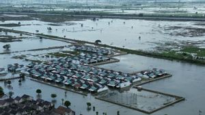 5.168 Hektare Sawah di Kabupaten Bekasi Terdampak Banjir