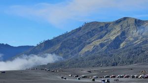 TNBTS Selidiki Penerbangan Paralayang di Kawasan Bromo Semeru