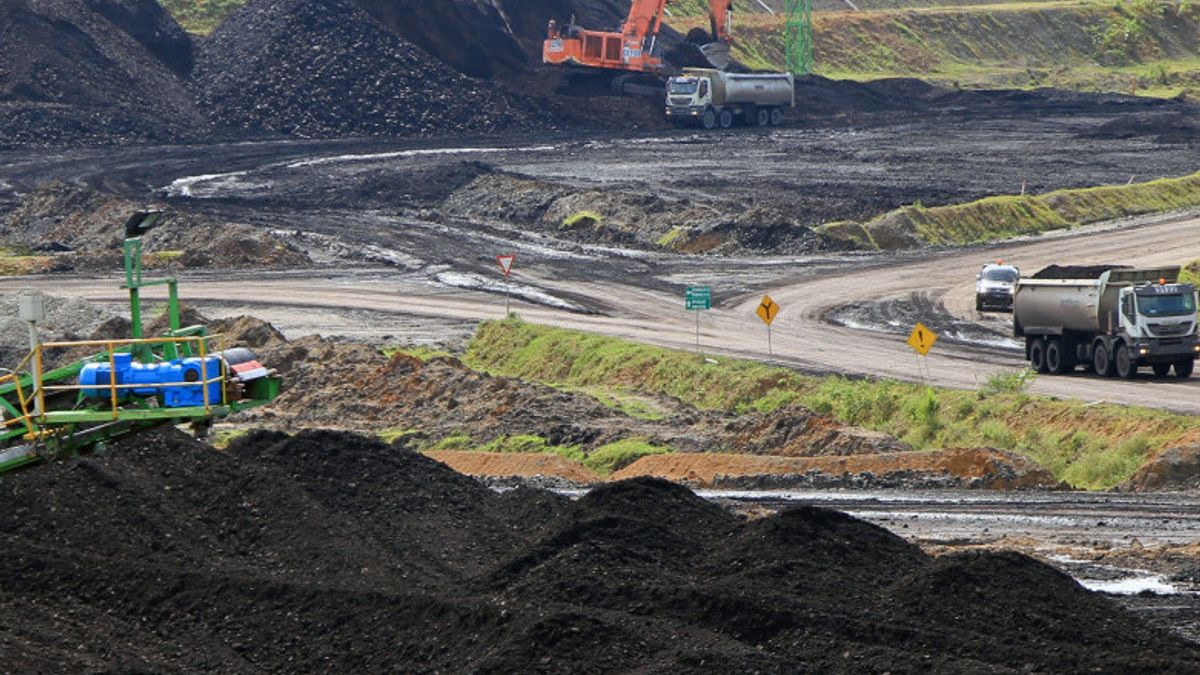 إندونيسيا تواجه أزمة الفحم، ما هو مصير مشروع التغويز؟