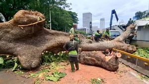 Layanan MRT Gangguan Akibat Pohon Tumbang, Pramono Targetkan Normal Kembali Sore Ini
