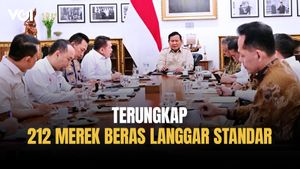 Pelanggaran Standar Capai 212 Merek Beras, Presiden Prabowo Perintahkan Tindak Tegas
