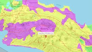 Geological Agency: Il n’y a pas d’impact sur le terrain causé par le tremblement de terre de Bandung