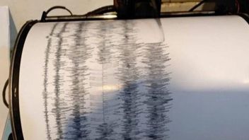 Gempa M 4,1 Getarkan Kuta Bali, Ini Penjelasan BMKG